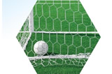 Application of light stabilizer of artificial grass